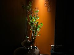-LAMP BAR 水烟音乐酒吧