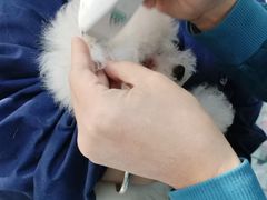 -天津前进宠物医院(前进道店)