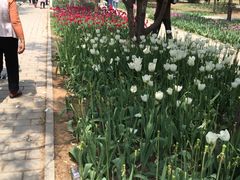 -石家庄市植物园