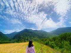 -秦岭风景区