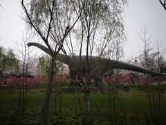 -自然谷恐龙园