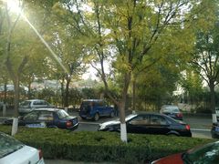 -淄博市张店区实验中学