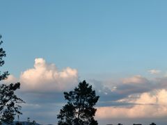 -长虫山生态公园风景林