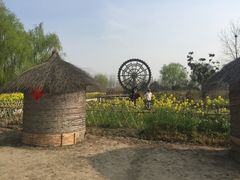 -溱湖国家湿地公园