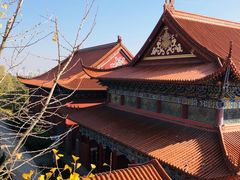 -开福禅寺