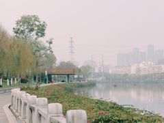 -光明港公园