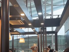 -麦当劳(深圳北站高铁店)