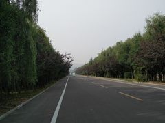 景区道路-微山湖红荷湿地景区