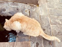 -炊烟餐厅