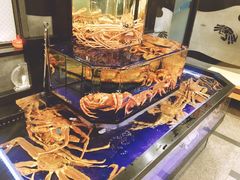 -蟹道乐(道顿堀本店)