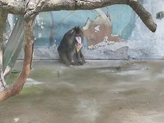 -宁波野生动物园