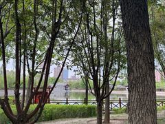 -迎泽公园