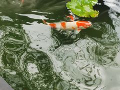 -濮园 · 四合院餐厅
