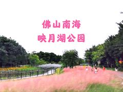 -映月湖公园
