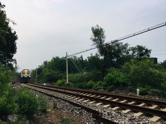 -北京鹫峰国家森林公园
