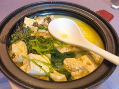 砂锅炖柳沟豆腐-北京泰富酒店-柏景轩中餐厅