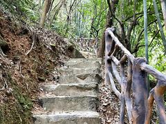 -滴水岩森林公园
