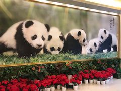 -成都驻京办餐厅(蜀都宾馆店)