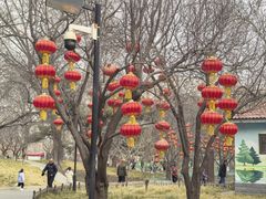 -丰台花园