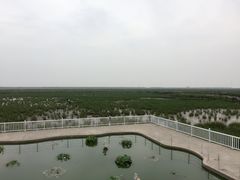 -小洋口旅游度假区