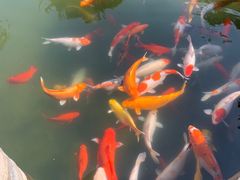 -鼓浪屿钢琴博物馆