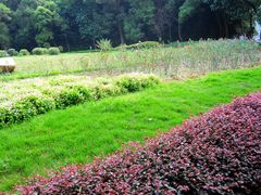 -广州市干部健康管理中心