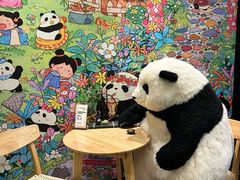 -轩客会(熊猫书店)