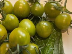 -77号渔船·蒸海鲜青岛菜(积米崖店)