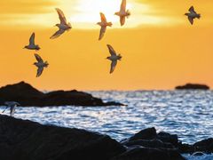 -沁园蒸汽·海鲜餐厅(三浴场店)