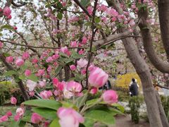 -元大都城垣遗址公园