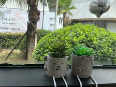 -ICEPOPO MILK(温岭新天地店)