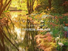 -上海共青森林公园