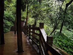-青城山