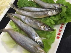 -杨记齐齐哈尔烤肉(总店)