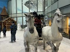 -世界之窗阿尔卑斯冰雪世界