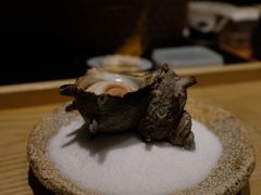 -橼舍鮨青木