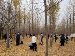 -汉景帝阳陵博物院