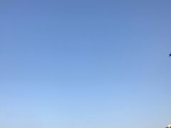 -玉树公园