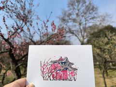 -梅花山(明孝陵内)