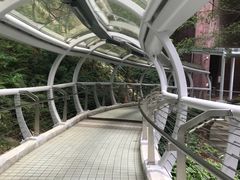-香港大学