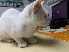 -宠颐生宠物医院外科·内科·皮肤科·影像科(石龙店)