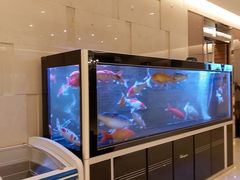 -悦融琥珀·京鲁菜·海味珍品(西单店)