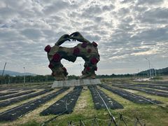 -亚龙湾国际玫瑰谷