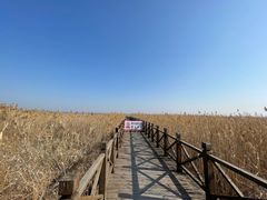 -盐城丹顶鹤湿地生态旅游区