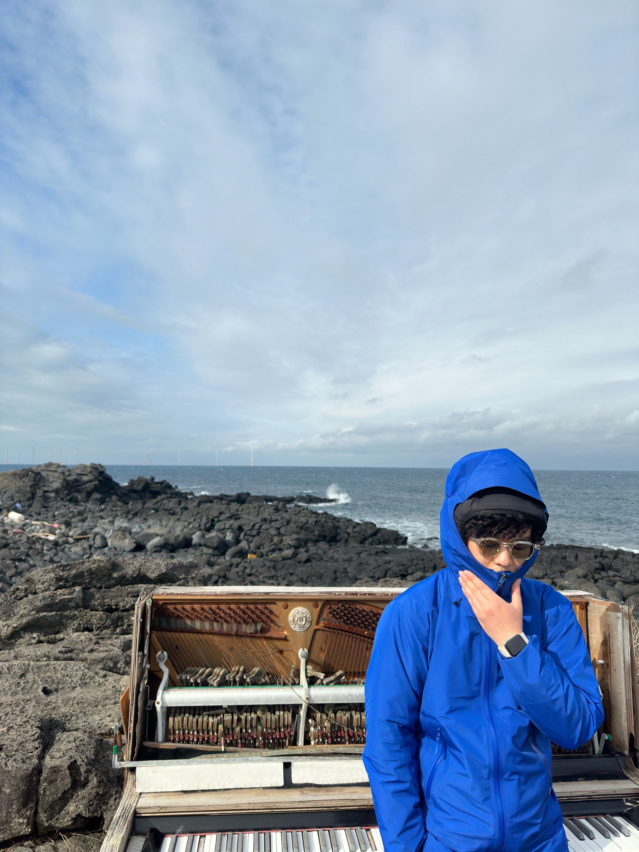 济州岛之碎碎念