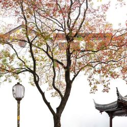 -Oasis Beauty水磨坊科技美肤中心