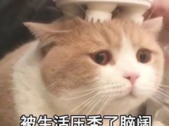 -欧尚(江阳中路店)