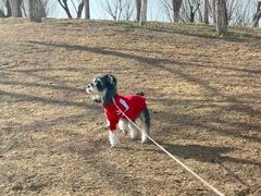 -小意思咖啡店(草桥店)