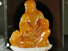 -【朵云轩艺术中心】博洛尼亚插画展·中国巡展·上海站
