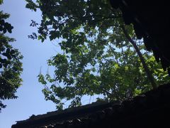 -五峰园